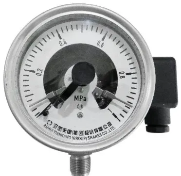 Explosion-proof Electric Contact Pressure Gauge product image 2