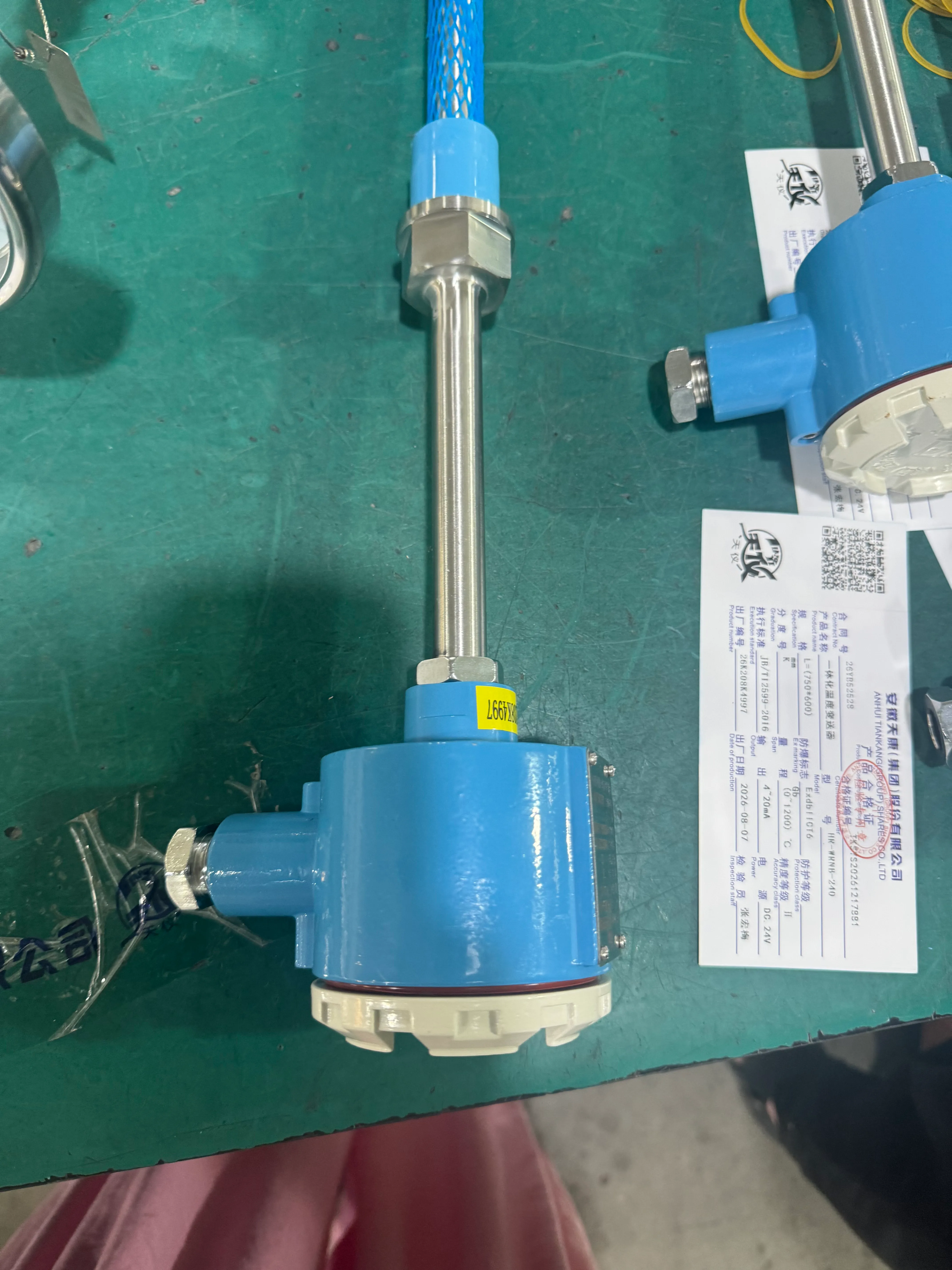 Explosion-proof thermocouple installation detail showing junction box and probe assembly.