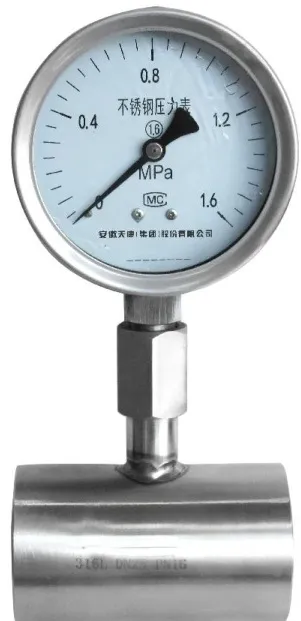 Pipeline Pressure Gauge product image