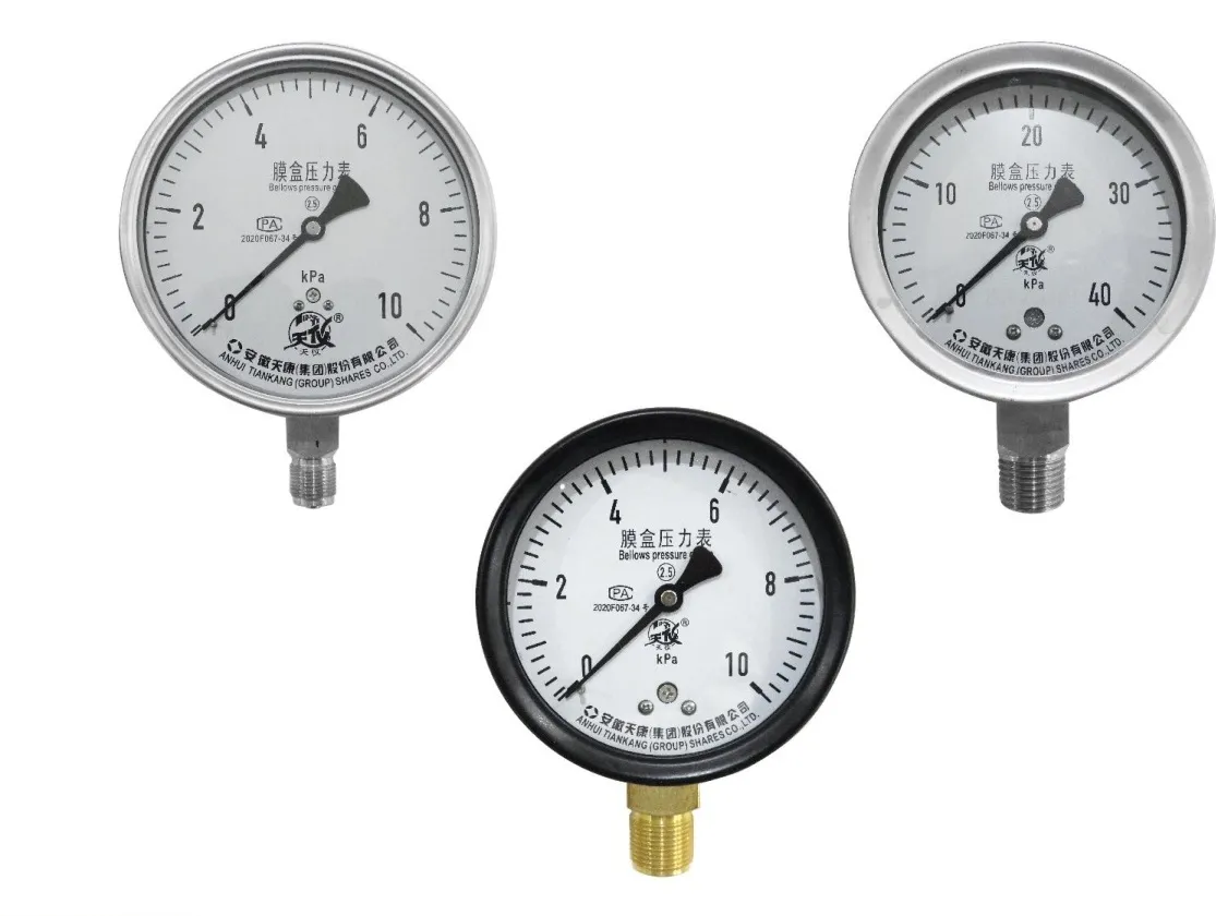 YE Series Capsule Pressure Gauge product image