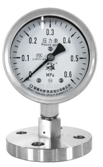YM Series Diaphragm Pressure Gauge product image 1