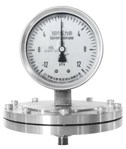 YP Series Membrane Pressure Gauge product image 1